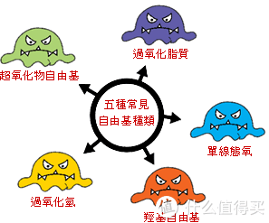 为了痛经和痘痘,请吃下这枚安利,噢不,葡萄籽胶囊!