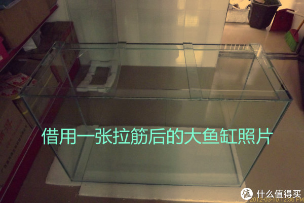 造景鱼缸经验分享 篇三:现身说法之新手向入门引导(下