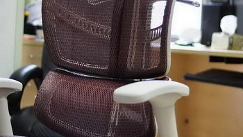 Ergomax Evolution 人体工学 电脑椅