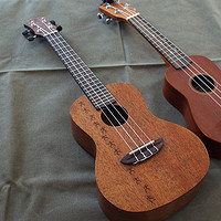 ​音乐白痴的ukulele选购之路