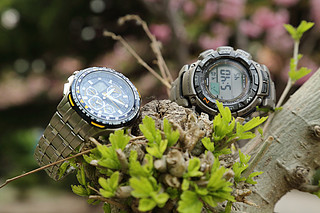 Citizen 西铁城 空中之鹰系列 JY0040-59L 男士光动能表 &amp; CASIO 卡西欧 PAG240T-7CR Pathfinder 男款多功能太阳能腕表