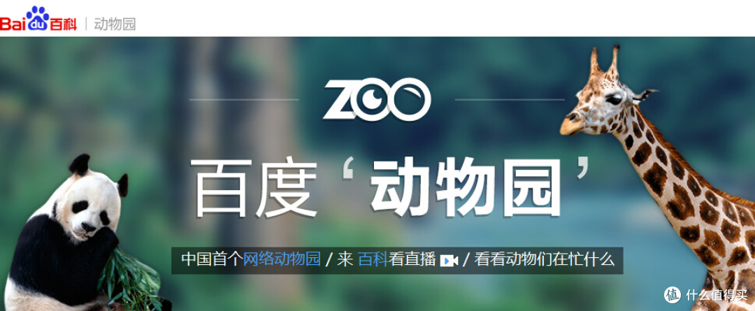 百度首推网络直播动物园 在家看"神兽"