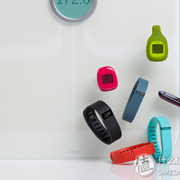 Fitbit正式进入中国 Flex乐活手环已上架开卖