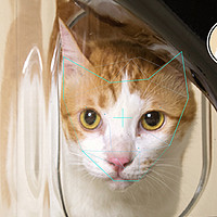 众筹精选：进击的猫奴发明史上最智能喂食器Bistro 配备猫脸识别系统