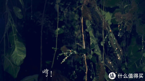 聊聊 sony 索尼 xperia z1 l39u 4g手机