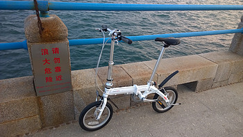 海边遛弯儿的代步玩具：美国 DAHON 大行 BYA412 折叠自行车