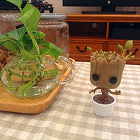 I AM GROOT！！！Funko pop Marvel 漫威 银河护卫队 跳舞的格鲁特