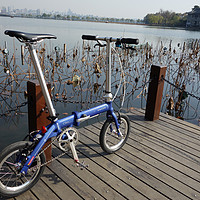 城市速度与便携的综合交通工具：DAHON 大行 BYA412 折叠自行车
