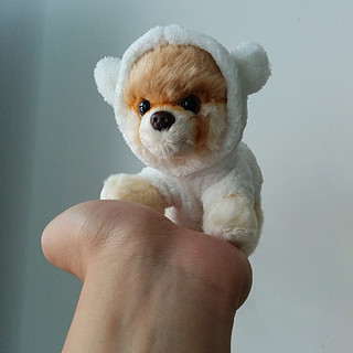 迷你小壮士：Gund Itty Bitty Boo 毛绒萌犬