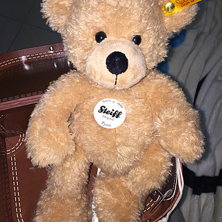 小试美亚直邮：Steiff Fynn In Suitcase 泰迪熊