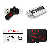 配备Type-C接口：SanDisk 闪迪 为MWC2015带来 Dual Drive优盘等多款新品