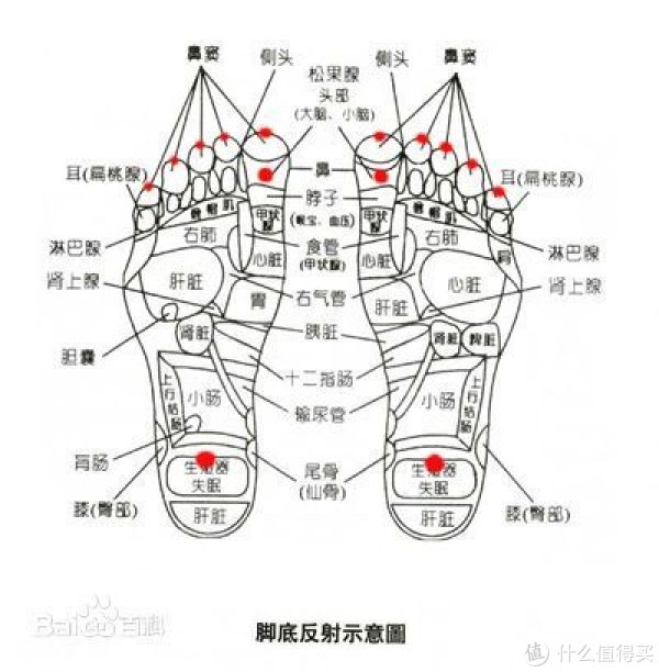 的做法基本就是用一只脚把另外一只脚心用大脚趾从上到下都给点按一次