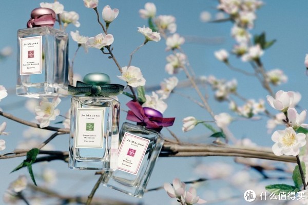 经典再现：Jo Malone 重启人气香氛系列“Blue Skies & Blossoms”_女士