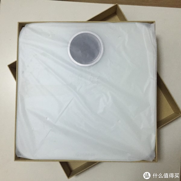 真身