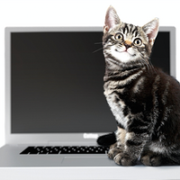喵星人用上“MacBook Pro”：Cattop筆記本型可加熱貓窩