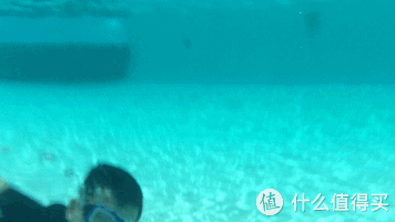 带着爱疯和狗3,上天下海拍塞班