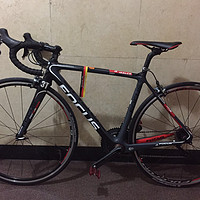 优良血统focus izalco pro ltd公路车