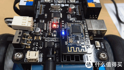 挨踢狗和智能狗的日常