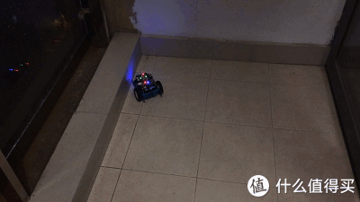 挨踢狗和智能狗的日常