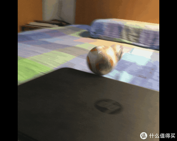 原力附体的小蠢萌--sphero星战机器人bb8众测