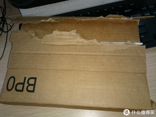 不算海淘的海淘--亚马逊海外购处女淘 Pilot FP