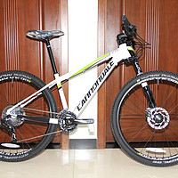 只有一半的前叉 — cannondale 佳能戴尔 左撇子 lefty f27.5 山地车