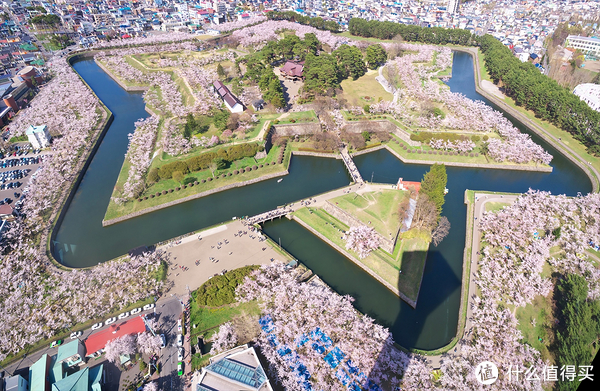 专题:一期一会—日本"花见会"带你尽享樱花魅力