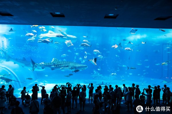 日本自由行签证全攻略和旅行中注意的一些细节