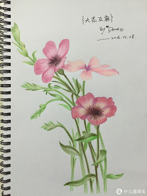 just to draw 篇一:由秘密花园引发的彩铅画——我的彩铅画记录