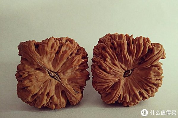 南将石文玩核桃介绍| 老树南将石核桃的特点_什么值得买