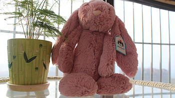 给娃娃买的第一个玩偶：海豚村英国直邮 JELLYCAT 害羞兔开箱