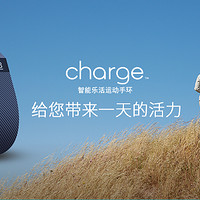 Fitbit Charge 非暴力拆解 电池更换 不完全技术贴