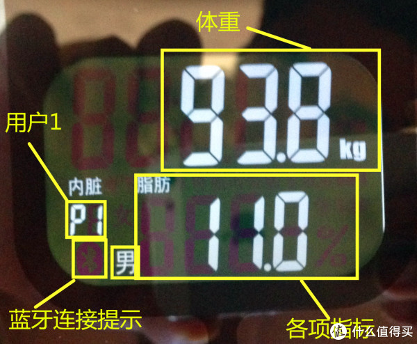 （好了，请尽情嘲笑我的脂肪率吧……）