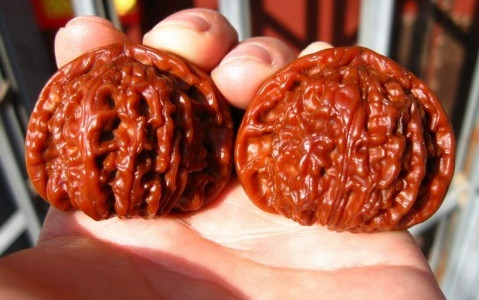 文玩那些事:说说文玩核桃