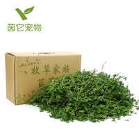 萌一脸血——四年饲养龙猫经验分享