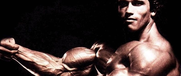 手臂肌肉锻炼方法 | 肱二头肌_肱三头肌锻炼方法