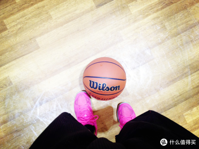 美国成语?!Wilson威尔胜EVOLUTION典故高高中全美神器大全图片