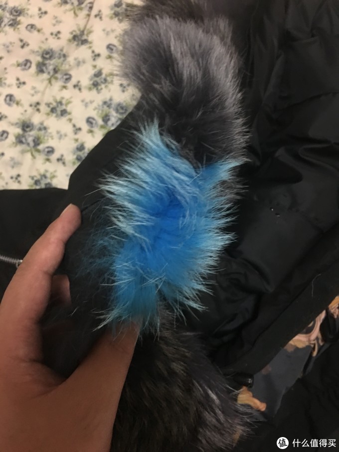 这件衣服帽子上的狼毛经过了特殊处理,有一撮儿被印染成了蓝色