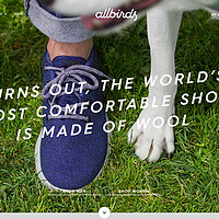 #原创新人# 新西兰球鞋品牌 Allbirds 羊毛运动鞋 晒单
