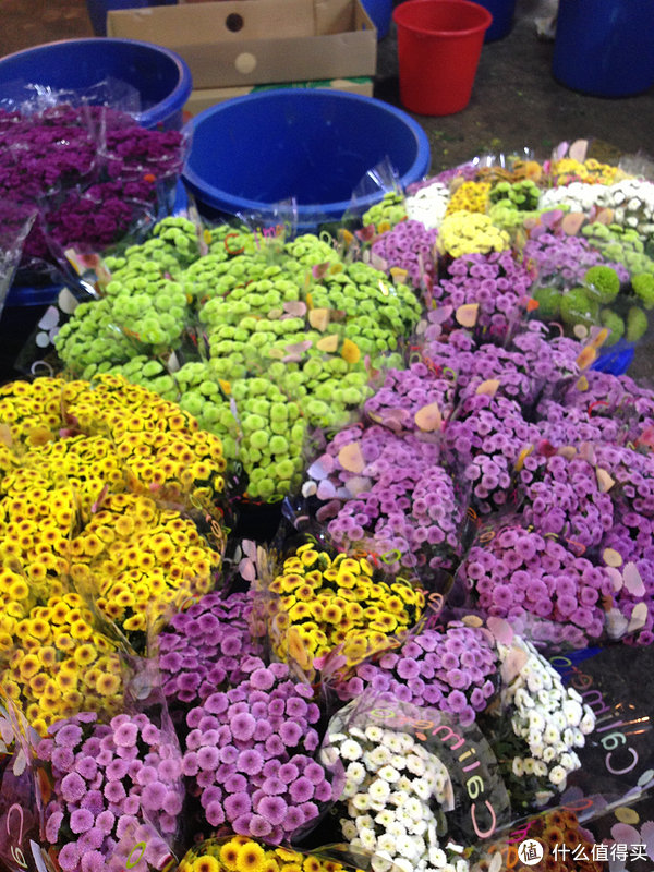 曹家渡花卉批发市场怎么样 曹家渡花卉市场位置_上海花卉市场在哪