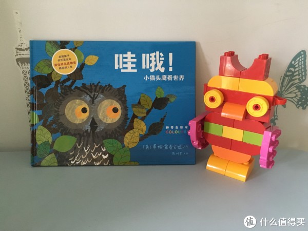 小猫头鹰看世界——