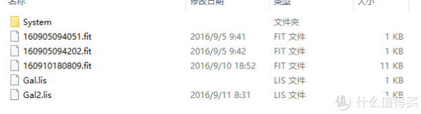 .fit后缀的都是骑行记录文件