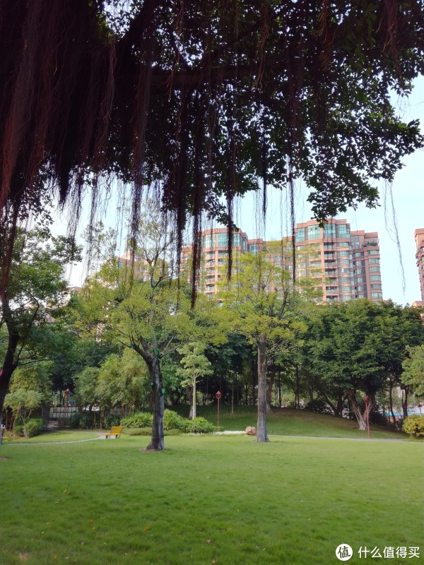 样张3