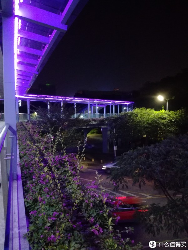 样张4