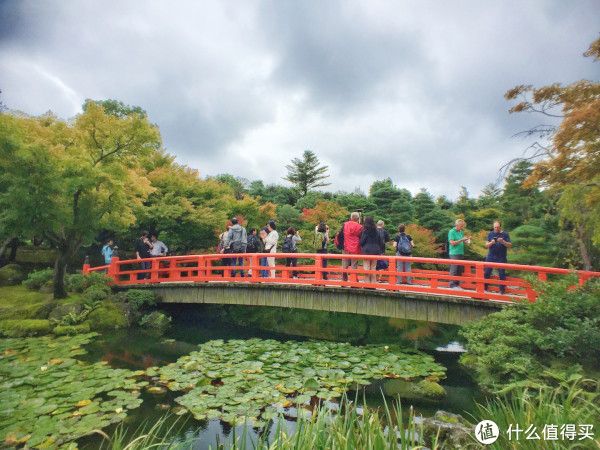 小众千禧号邮轮日本境港,金泽之旅 篇二:有趣境港,古都金泽——好玩的