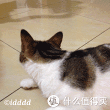 220_220gif 动态图 动图