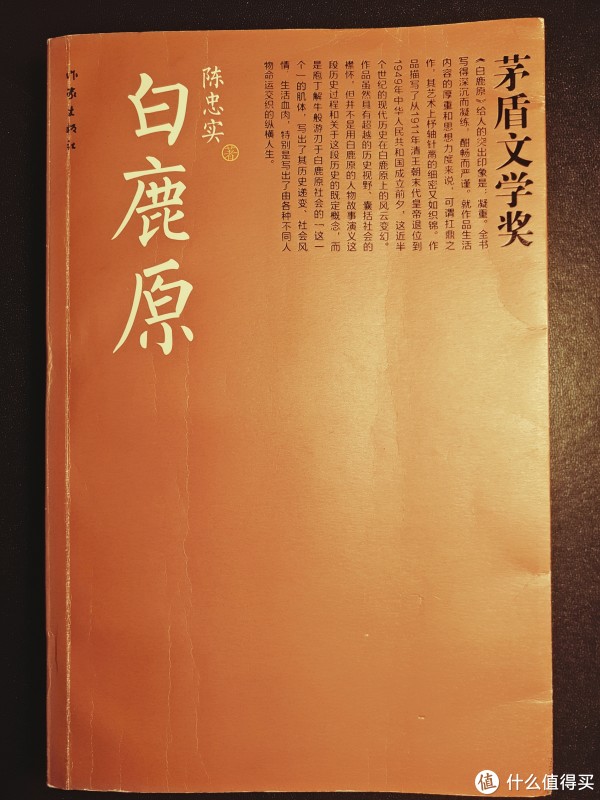 文学类书籍推荐 | 文艺青年带你读小说_什么值得买