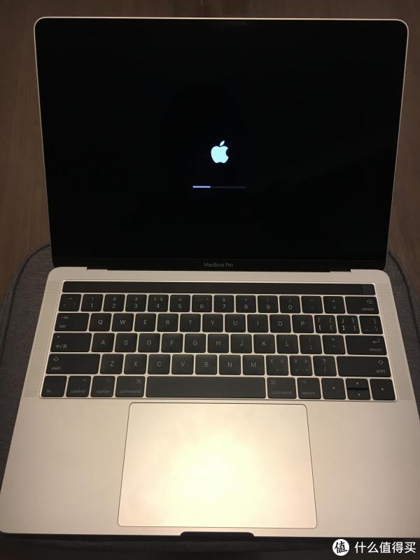 MacBook Pro 13-inch 2013 8GB/256GB 箱付-