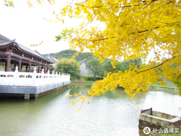 f/3.5&nbsp;&nbsp;1/100&nbsp;&nbsp;4.50mm&nbsp;&nbsp;ISO100