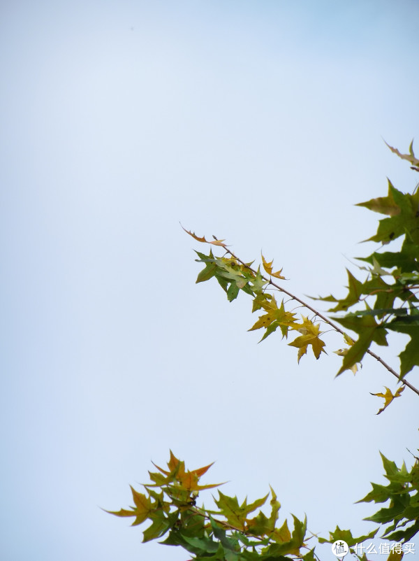 f/6.0&nbsp;&nbsp;1/500&nbsp;&nbsp;33.30mm&nbsp;&nbsp;ISO100